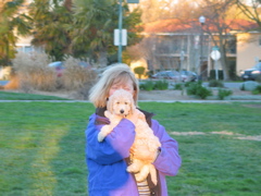 Picture of Australian Labradoodle