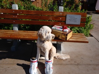 Eddie in Forrest Gump shoes in Monterey
