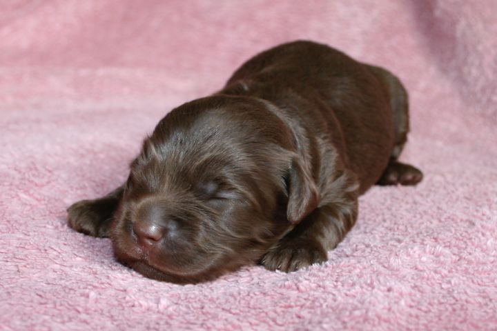 Picture of Teal Ribbon Girl, week 02, 1lb 8oz
 